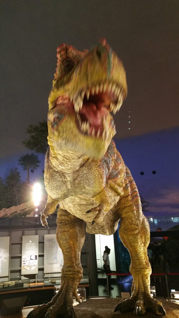 福井県立恐竜博物館ティラノサウルス